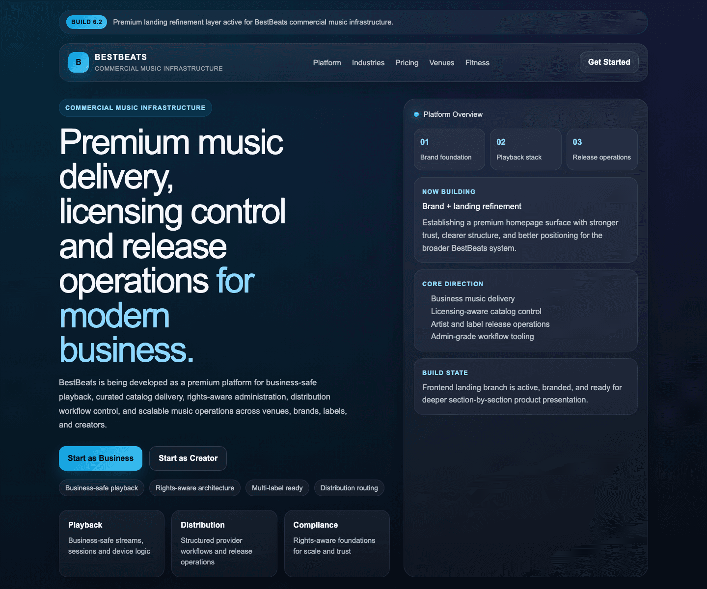 Music Streaming Platform production public experience real capture
